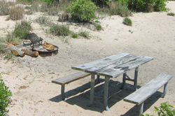 a picnic table and fire ring in one of First Landing's campsites