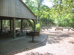 First Landing's group picnic facility