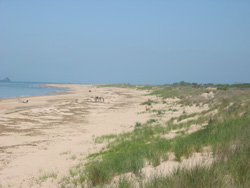 First Landing's swimming beach