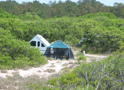 a tent and pop-up trailer at a First Landing campsite